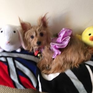 Meet your Posher, Beth